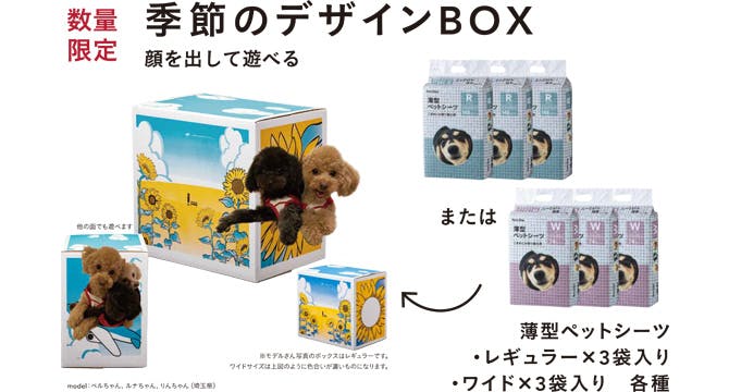 季節のデザインBOX
