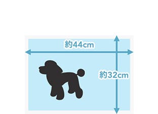 レギュラーサイズ