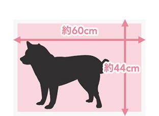 ワイドサイズ