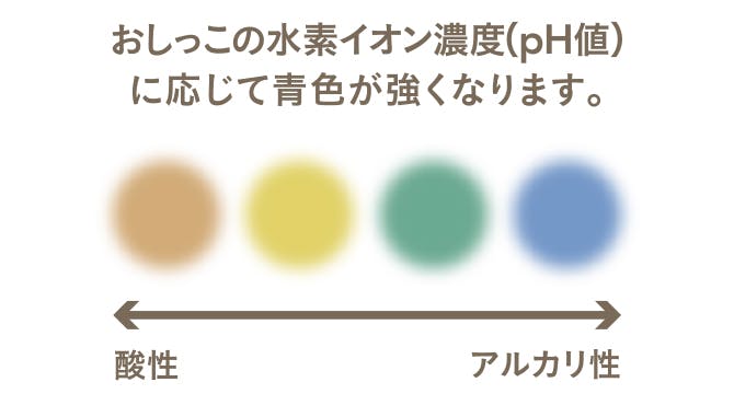 おしっこの水素イオン濃度