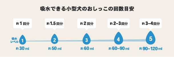 吸水できる小型犬のおしっこの回数目安