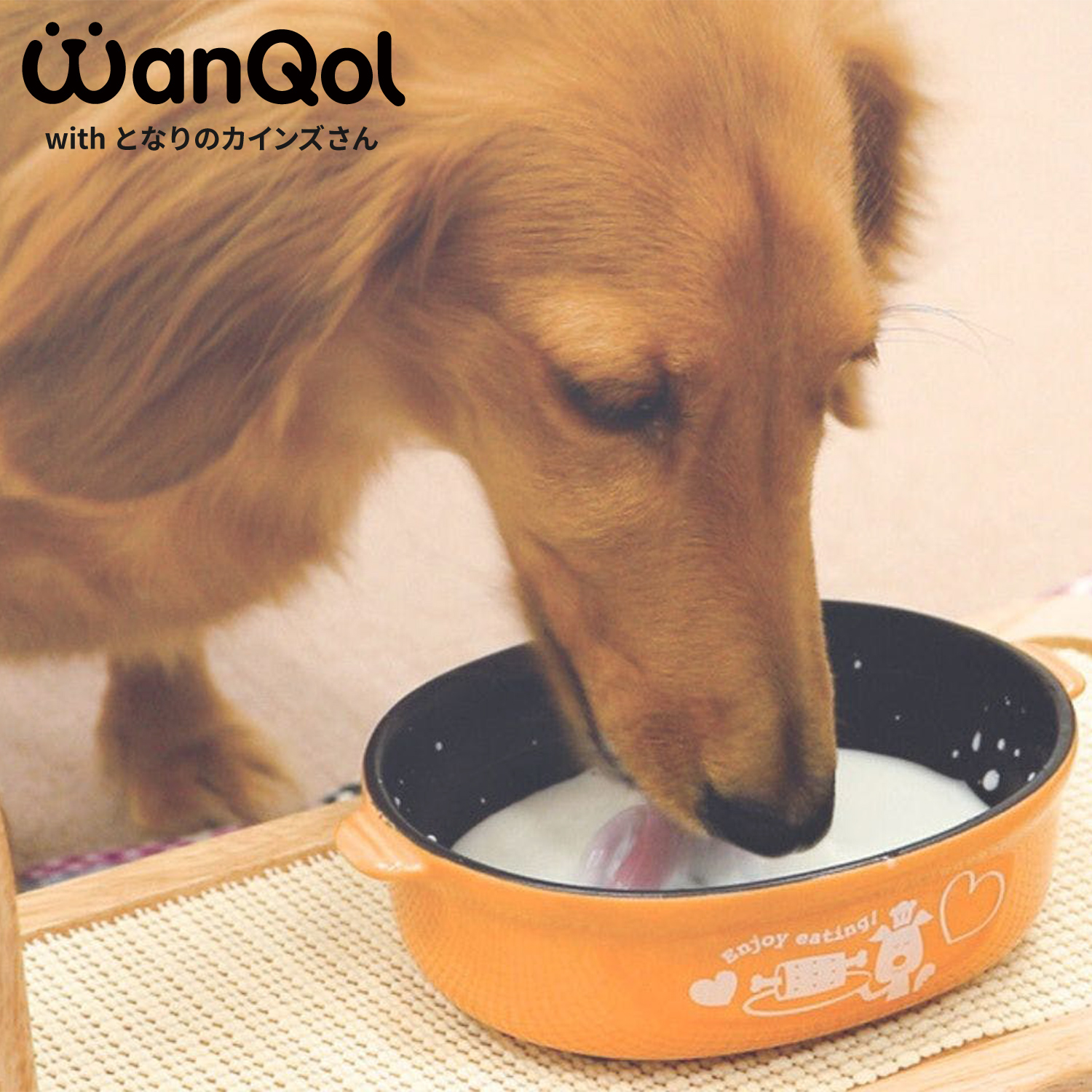 愛犬愛猫の水分補給｜ホームセンターのカインズ公式通販サイト