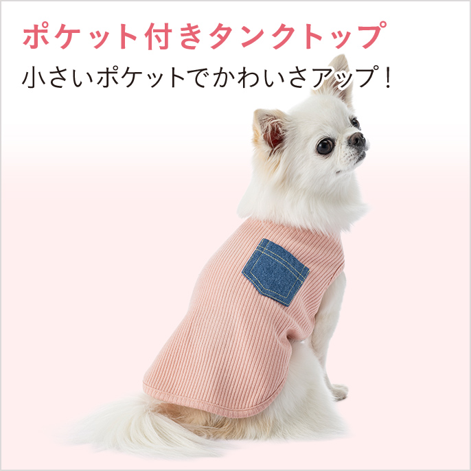 2026年 春夏】おしゃれでかわいい犬服・ドッグウェア特集｜種類