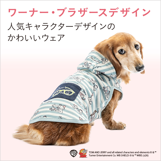 2026年 春夏】おしゃれでかわいい犬服・ドッグウェア特集｜種類