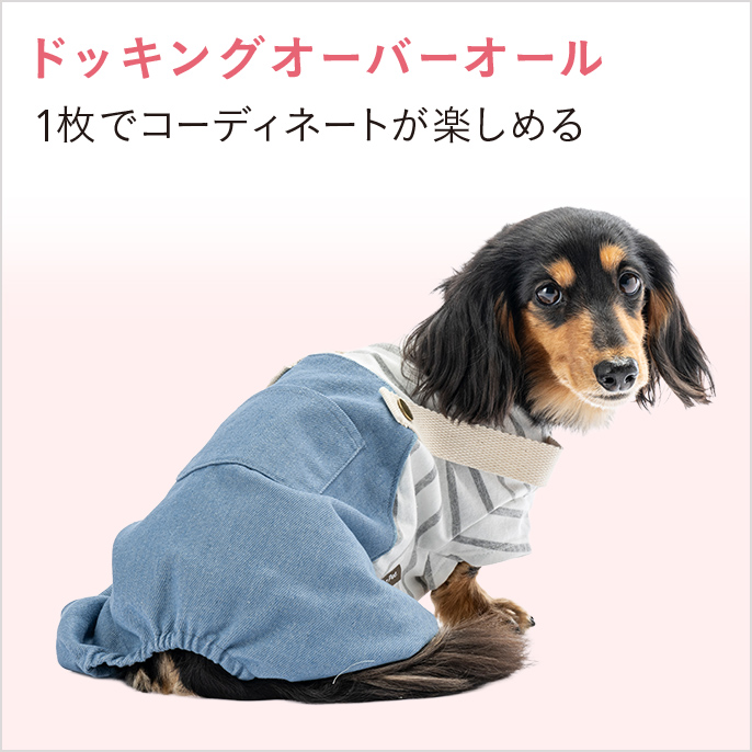2026年 春夏】おしゃれでかわいい犬服・ドッグウェア特集｜種類