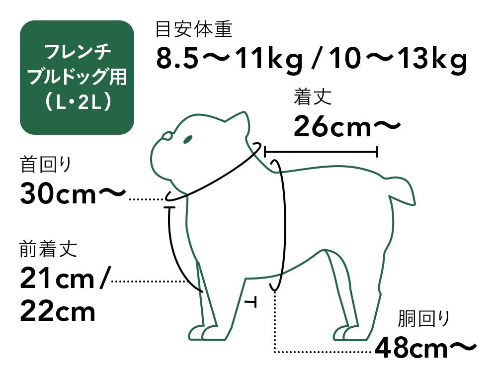 フレンチ
                                </div>
                            </dd>
                        
                    
                </dl>
            

            <!-- スペック表 Spec table-->
            
                <div class=