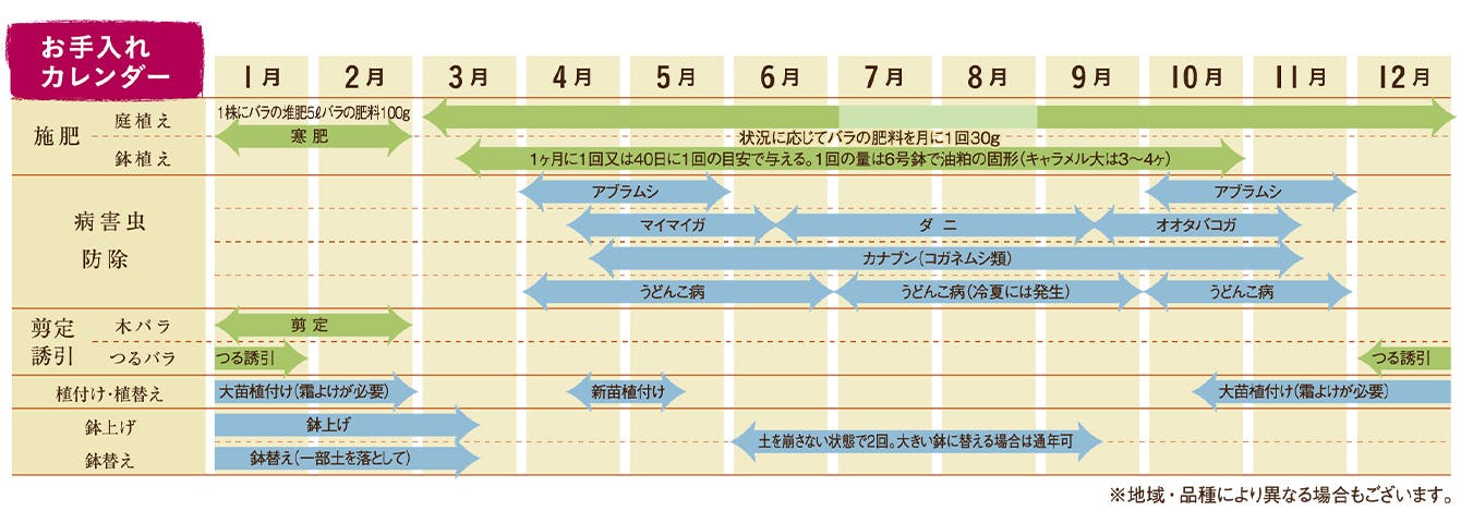 お手入れカレンダー