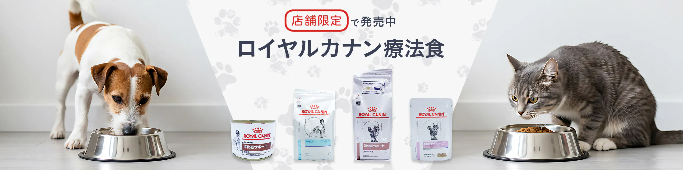 ロイヤルカナン 猫用 消化器サポート 可溶性繊維 500g 
