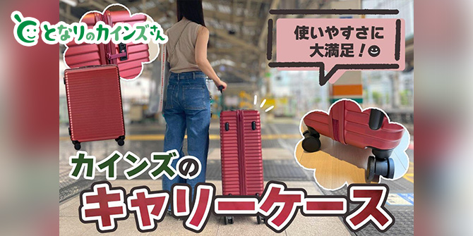 TRADDY すぅーと転がるキャスター付きキャリー 30L クールグレー
