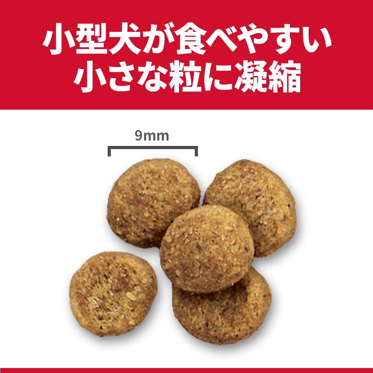 サイエンス・ダイエット 室内小型犬用 避妊・去勢後 1.3kg