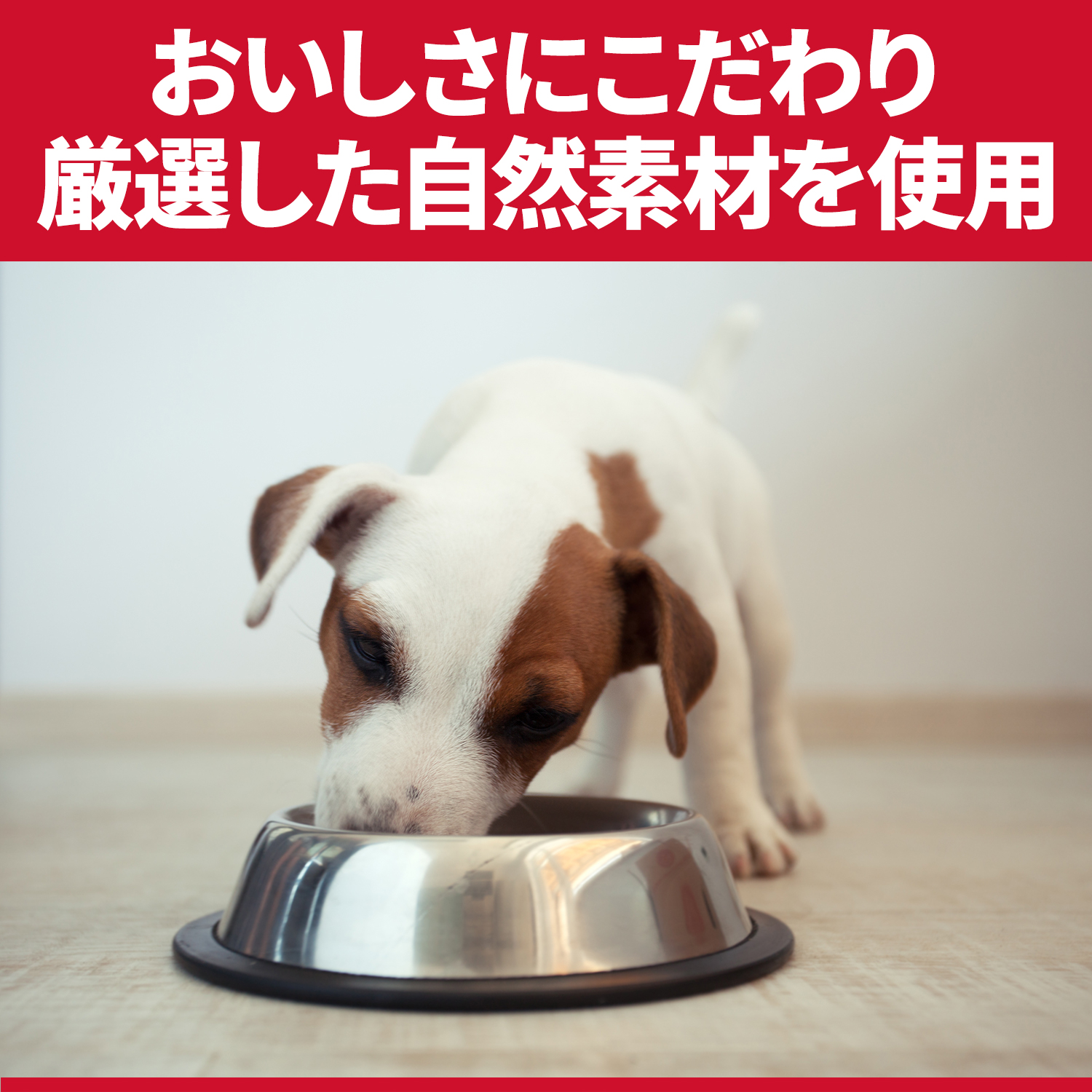 ヒルズ シニアアダルト 小型犬用 高齢犬用 200g(販売終了) | ペット用品（犬） 通販 | ホームセンターのカインズ