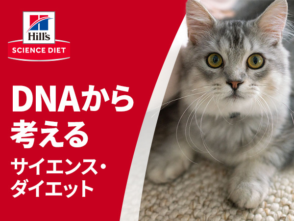 ネコネコさん専用　ピステ 楽天市場】DXタワー オブ トラックス : マペット