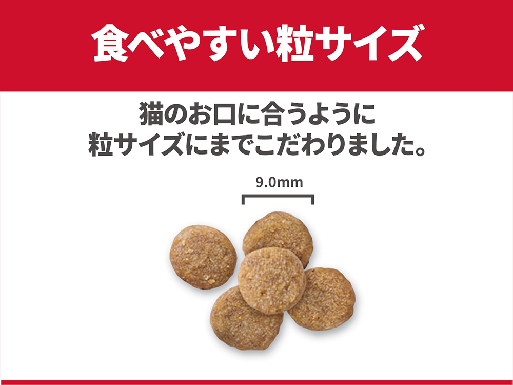 専門フード（猫用ドライフード）のおすすめ商品一覧