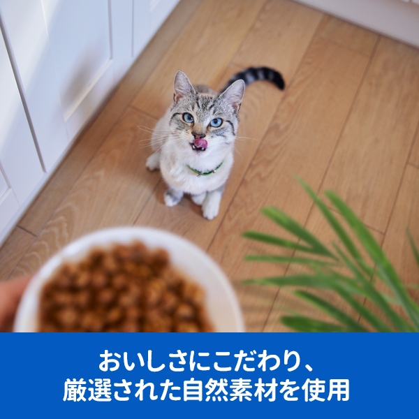 ヒルズ アダルト まぐろ 成猫用 1.4kg | キャットフード 通販