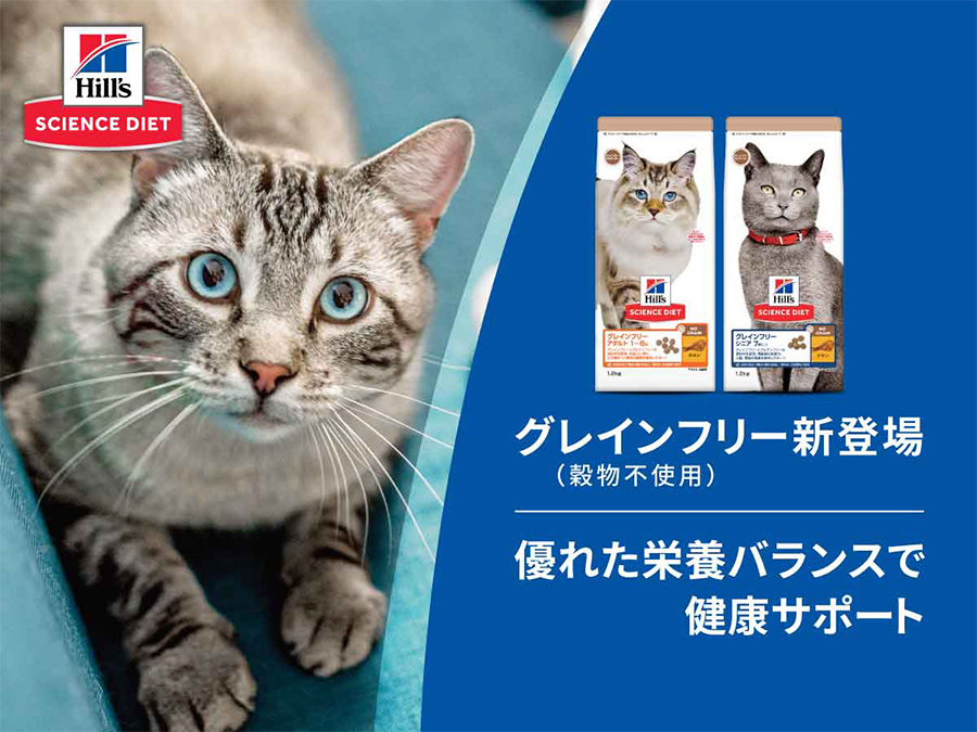 【中古】 Naturals Catherine 中古】 Naturals Catherine