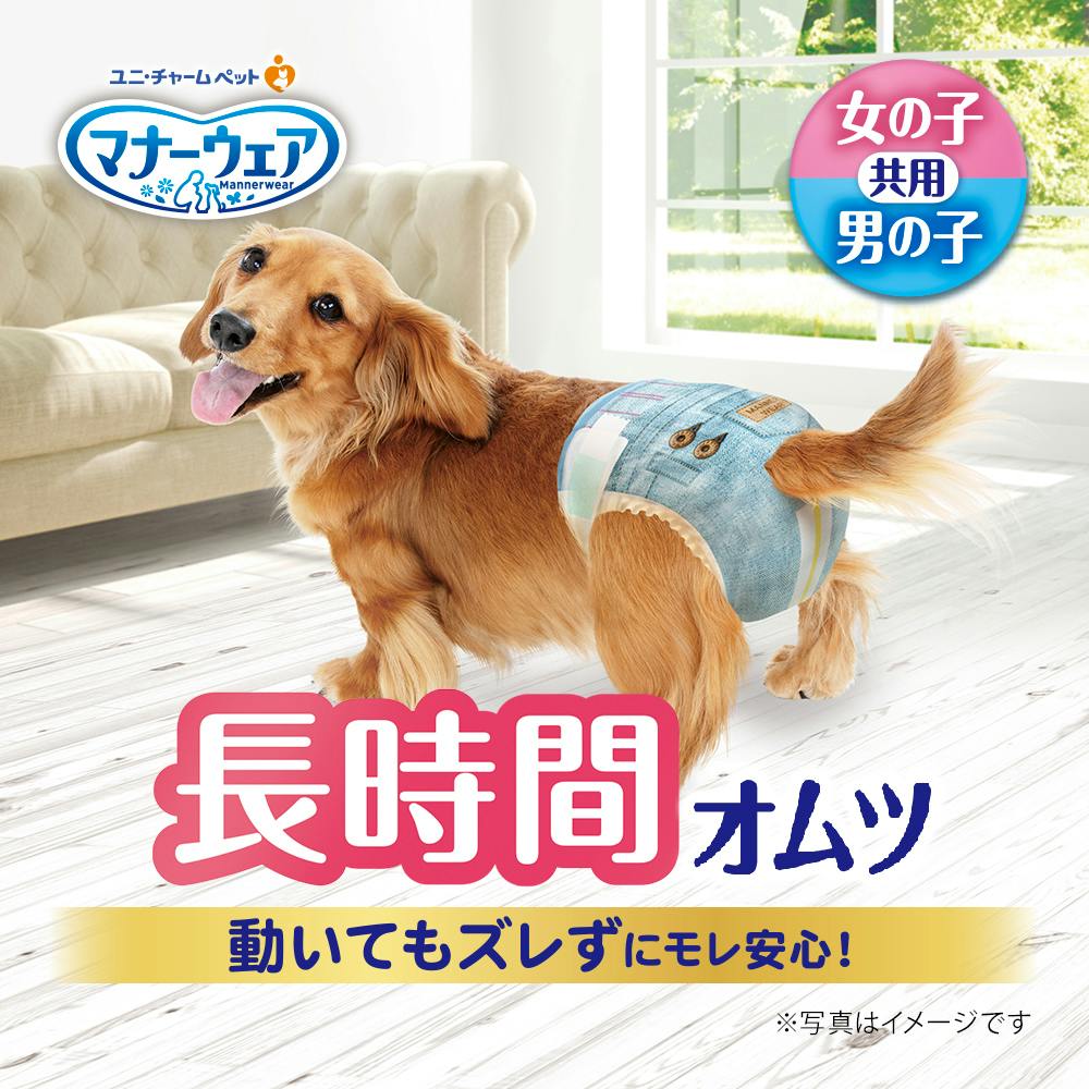 マナーウェア高齢犬用 紙オムツS30枚｜ホームセンター通販【カインズ】