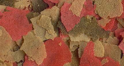 金魚のえさ テトラフィン 225g | 水中生物用品・水槽用品 通販