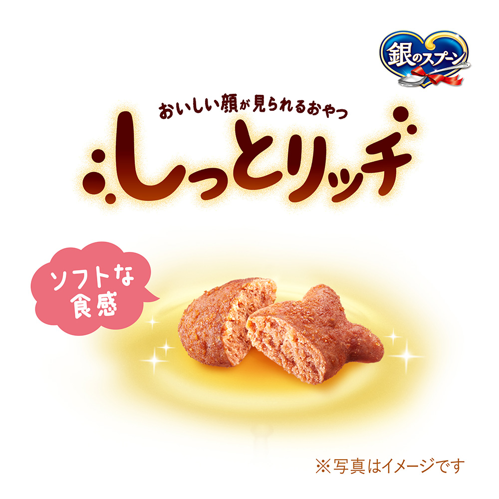 銀のスプーンハッピーソフトシーフード50g | おやつ（猫） 通販
