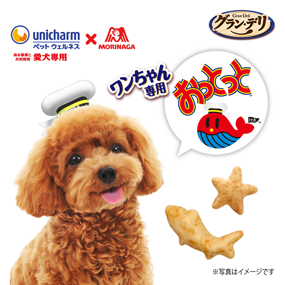 ユニ・チャーム グラン・デリ ワンちゃん専用おっとっと チキン