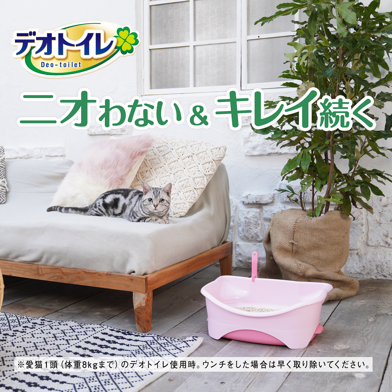 ピンクの猫 さくらピンクの猫ベッド - ZezeLife