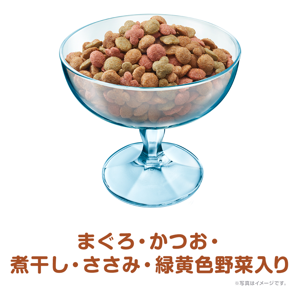 銀のスプーン 贅沢うまみ仕立て 食事の吐き戻し軽減 お魚・お肉