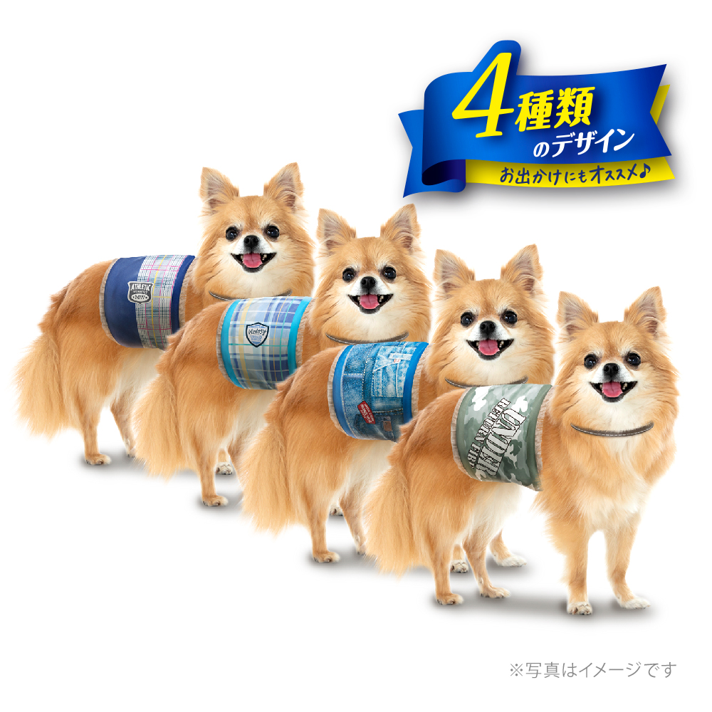 マナーウェア 男の子用 SSS 4種のデザイン 4枚 | ペット用品（犬