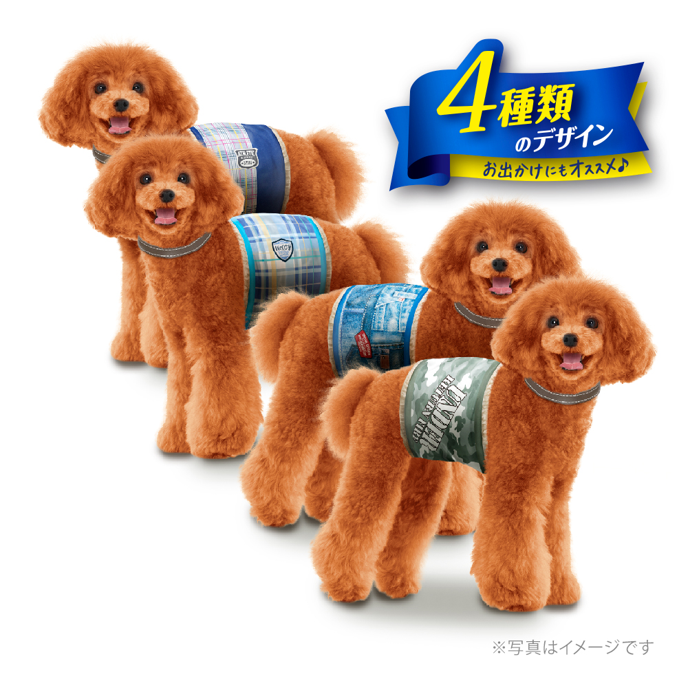 マナーウェア 男の子用 SSサイズ 4種のデザインパック 4枚入 | ペット