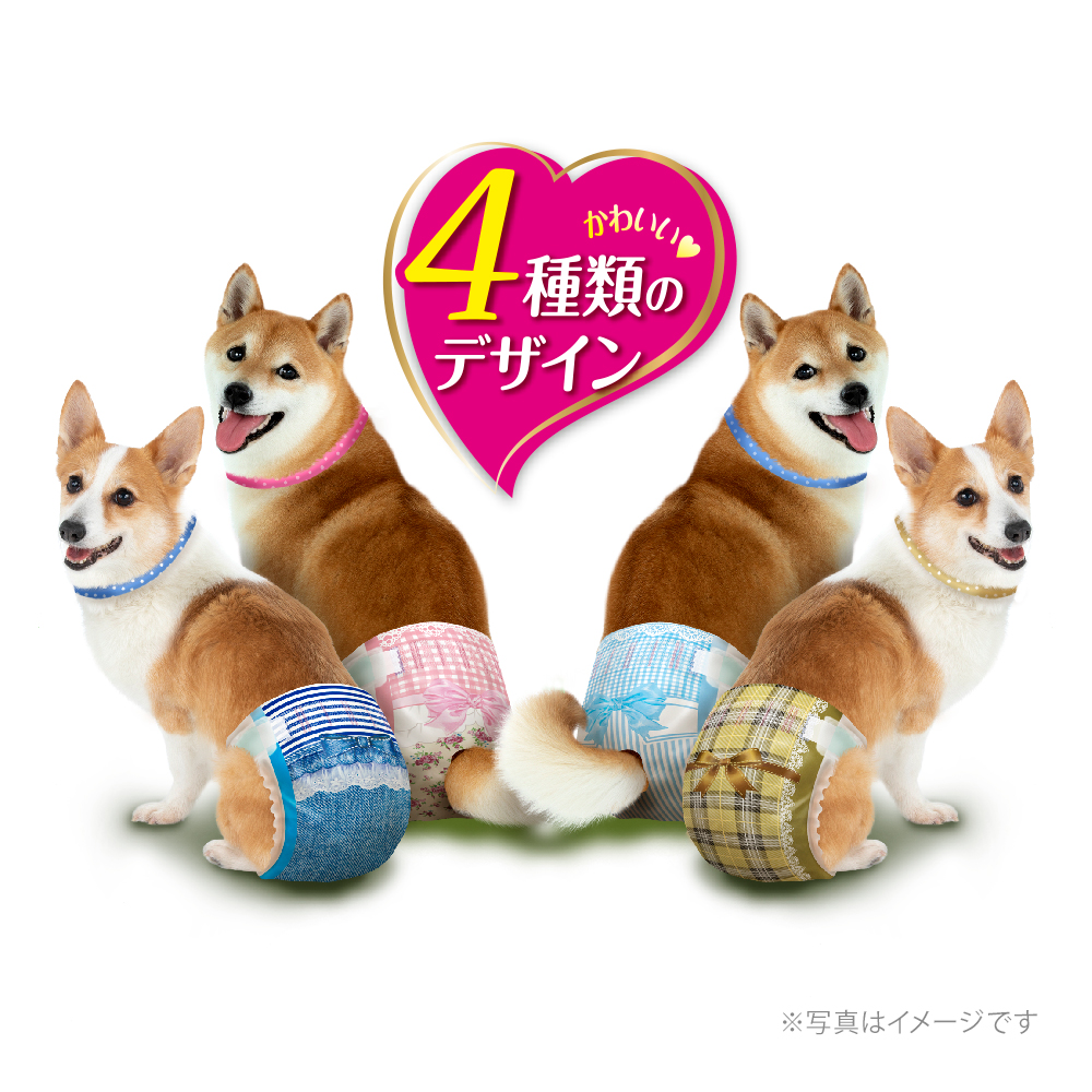ユニ・チャーム マナーウェア 女の子用 SSSサイズ 超小型犬用 4種の