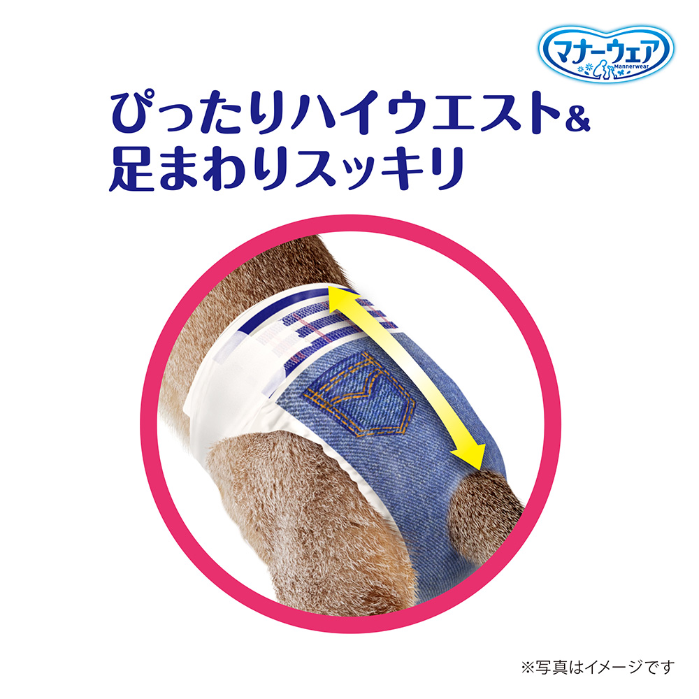 マナーウェア ねこ用 SSサイズ 40枚 | 猫砂・猫トイレ 通販