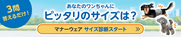 マナーウェア 女の子用 SSSSサイズ 2種のデザイン入り 42枚入 | ペット
