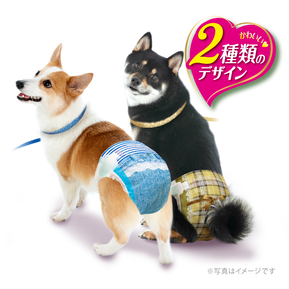 マナーウェア 男の子用 SSSサイズ 超小型犬用 ストライプ・ジーンズ 52