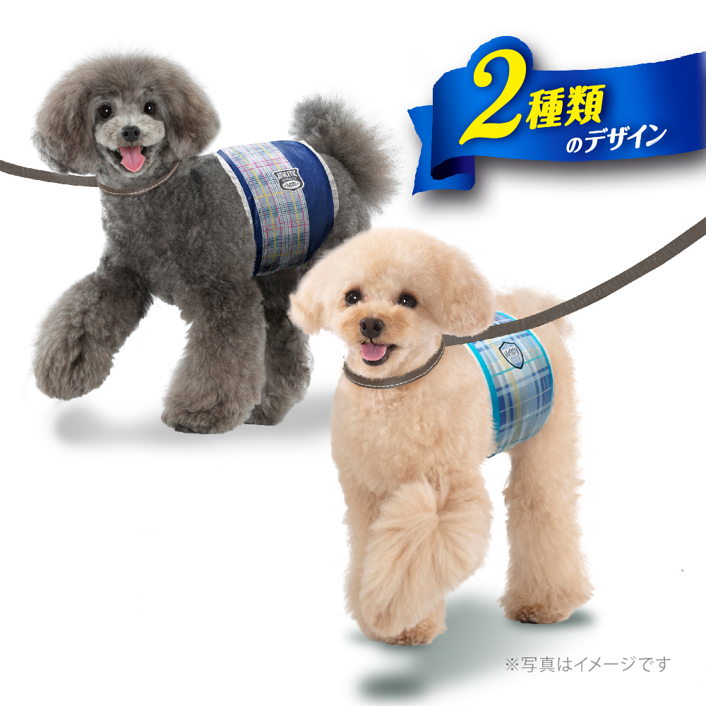 マナーウェア 男の子用 SSサイズ 超小～小型犬用 ストライプ・ジーンズ