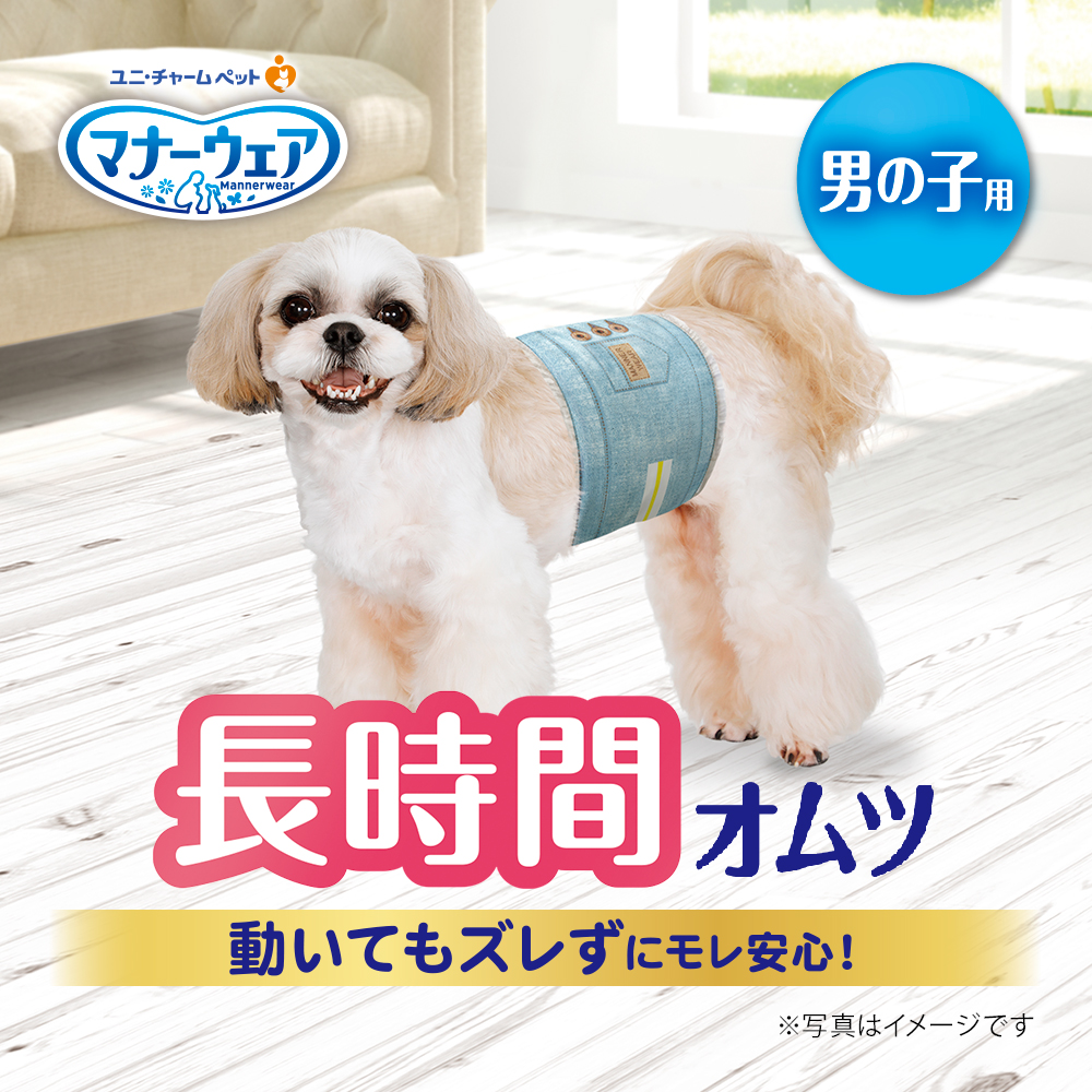 マナーウェア 男の子用 SSSサイズ 超小型犬用 52枚入 | ペット