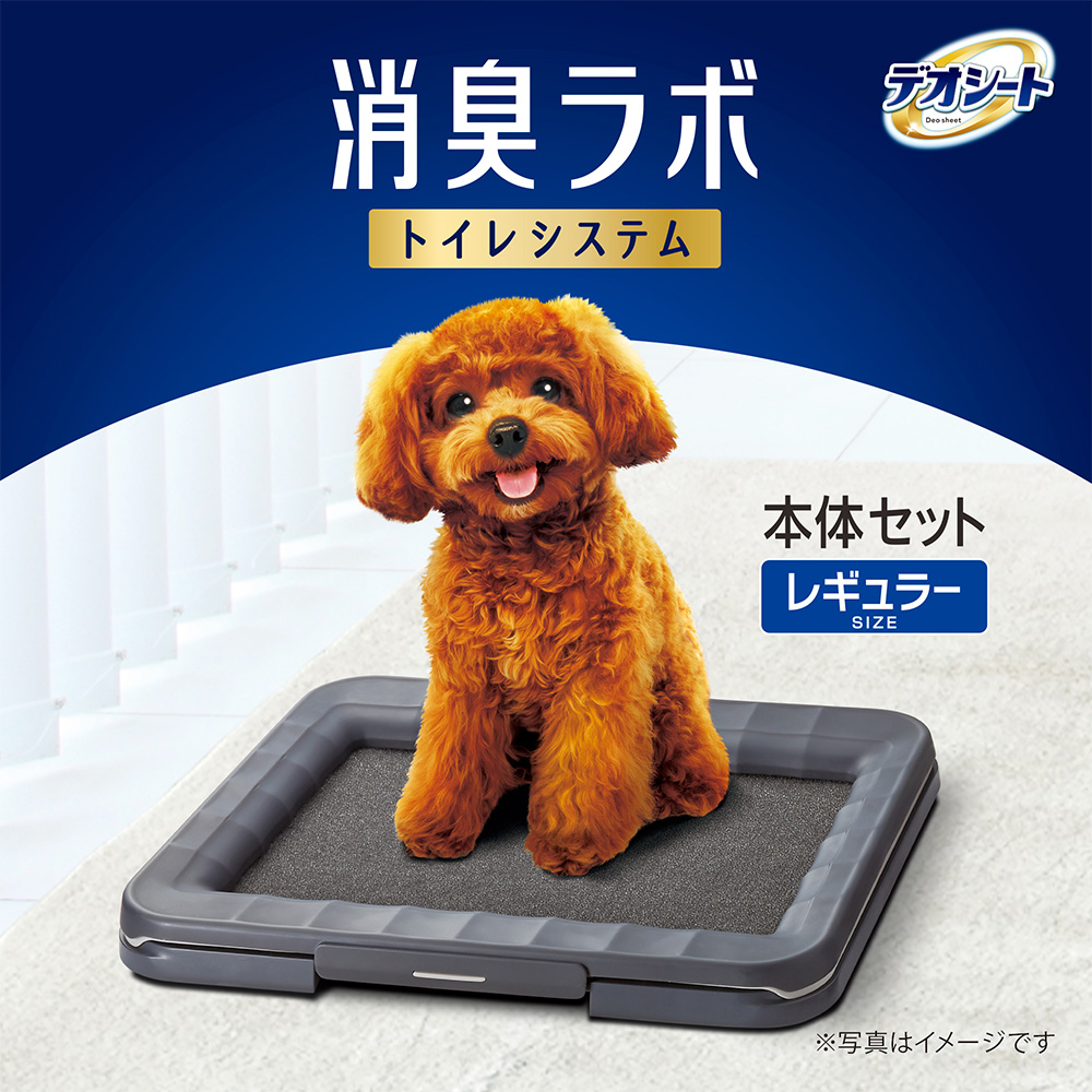 デオシート 消臭ラボ 本体セット ワイド | ペットシーツ・犬用トイレ