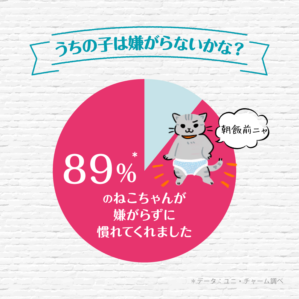 マナーウェア ねこ用 Sサイズ 7パック➕14枚　計126枚　新品未使用 cocoatta_4520699670767