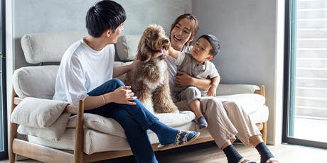 あなたと愛犬をむすぶ、コミフ