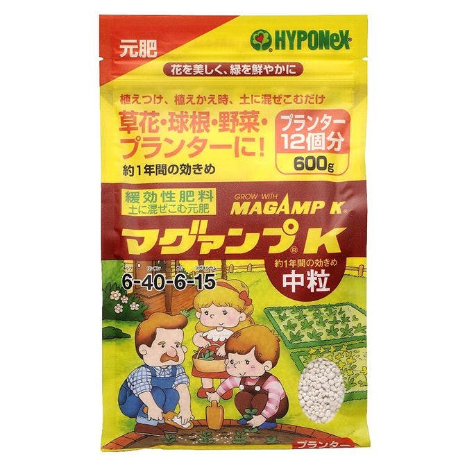 マグァンプK中粒600g