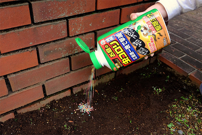 オンライン限定】アジサイ栽培セット(販売終了) | 用土・肥料 通販