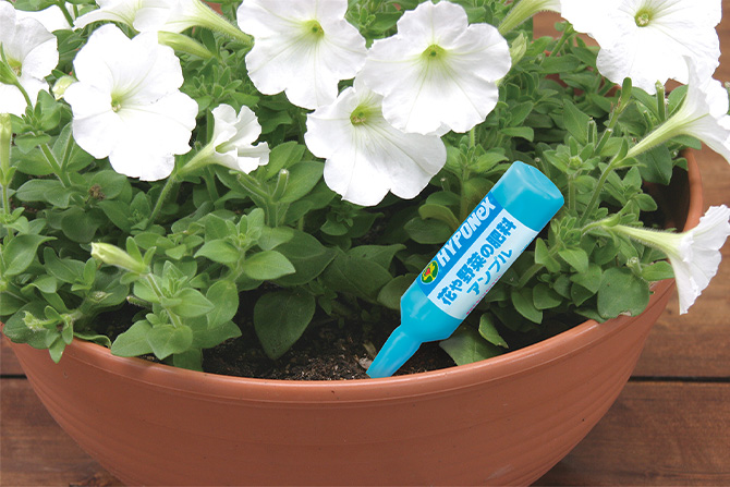 オンライン限定】アジサイ栽培セット(販売終了) | 用土・肥料 通販