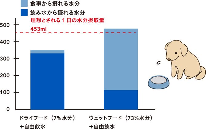 ドライフードとウェットフードの水分摂取量の比較