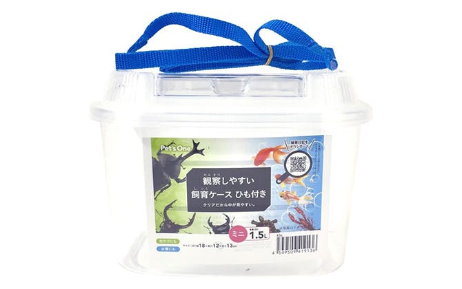 クリアだから観察しやすい