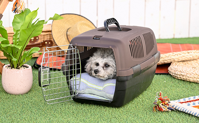 ペッツワン ハードキャリー S ブラウン | ペット用品（犬） 通販