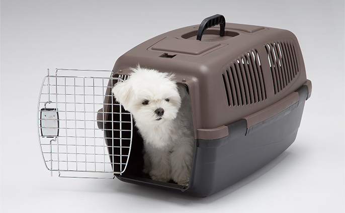 Pet'sOne ハードキャリー M ブラウン | ペット用品（犬） 通販