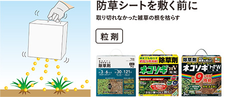 shn！！！　　ネコソギ ネコソギエースシャワーNX かけるだけ除草剤 2.1L 2本 - QVC.jp