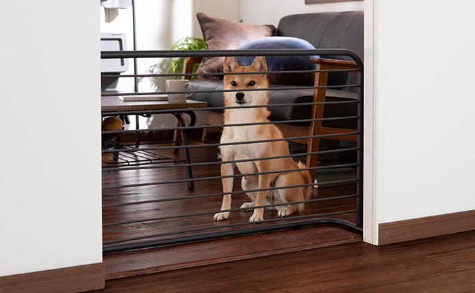 ペットゲート　フェンス ブラック 新品 Pets Casa ペットフェンス ブラック | ペット用品（犬） 通販