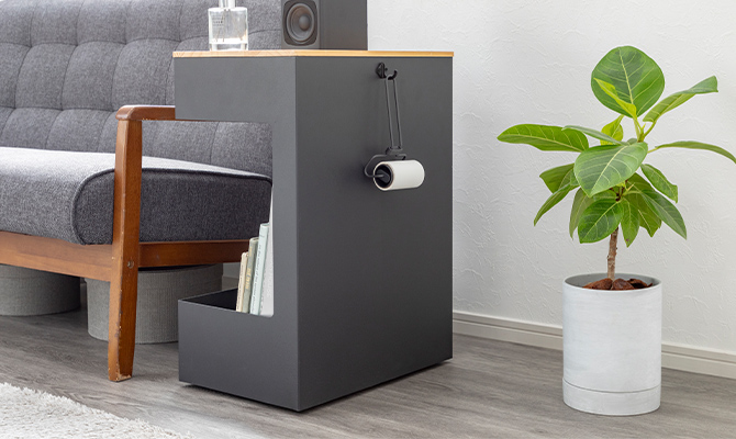 ワイヤーフレームカーペットクリーナー ミニ ブラック | 室内掃除 通販