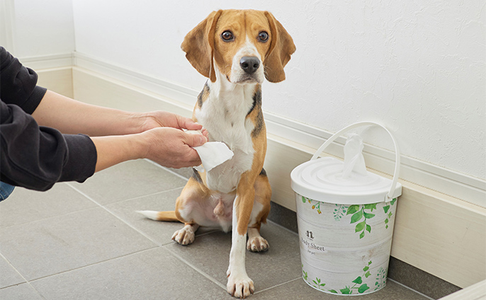 ボディタオル デザインバケツ 本体 130枚 | ペット用品（犬） 通販