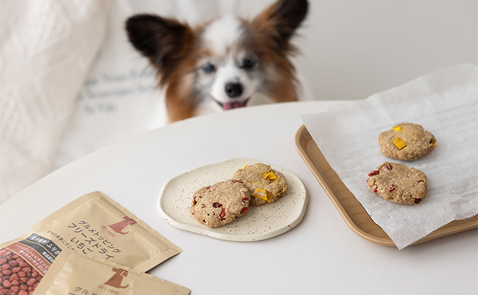 グルメトッピング フリーズドライりんご 25g | おやつ（犬） 通販