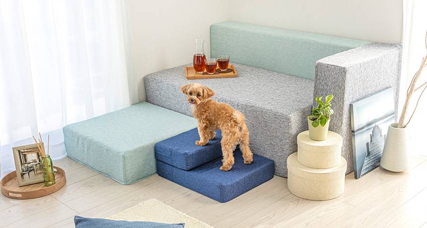 ステップになるペットマット ネイビー | ペット用品（犬） 通販