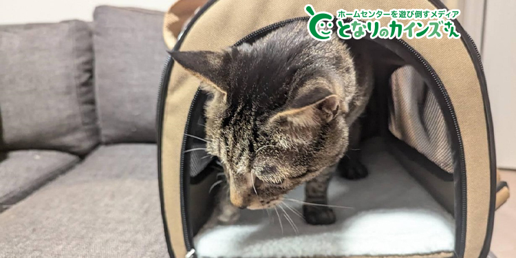 折りたたみペットキャリー ベージュ | ペット用品（犬） 通販